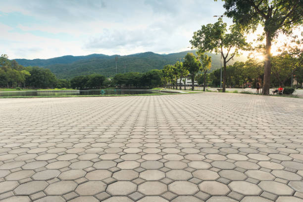 Best Custom Driveway Pavers  in Tega Cay, SC